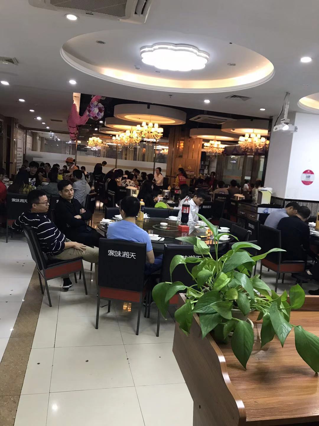 TSD 集体聚餐活动